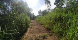 Land For sale Baan Amphur