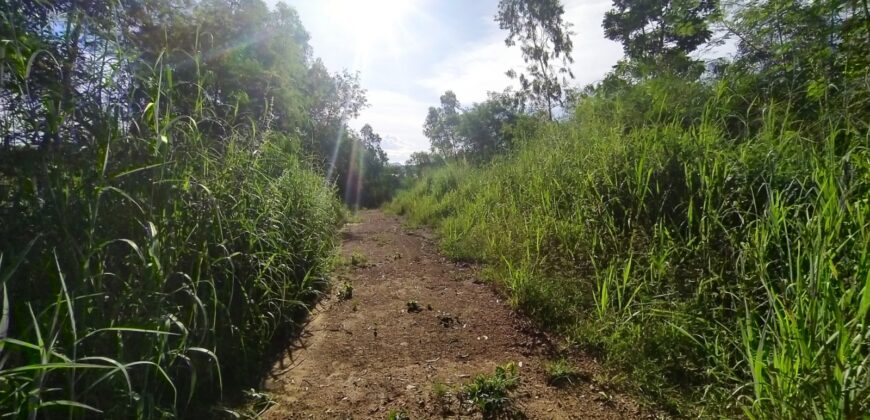 Land For sale Baan Amphur