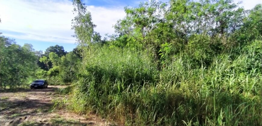 Land For sale Baan Amphur