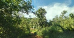 Land For sale Baan Amphur