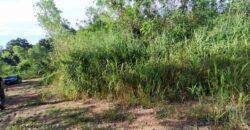 Land For sale Baan Amphur