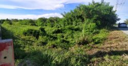 Land For sale Baan Amphur