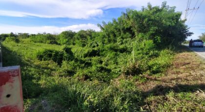 Land For sale Baan Amphur