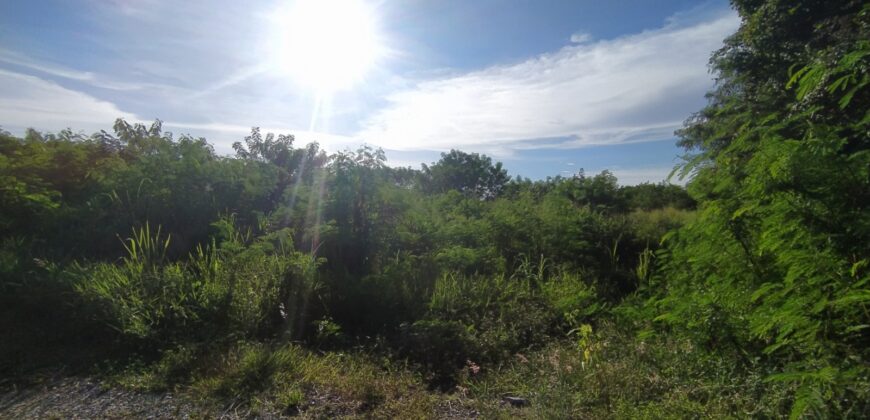 Land For sale Baan Amphur