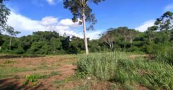 Land For sale Baan Amphur