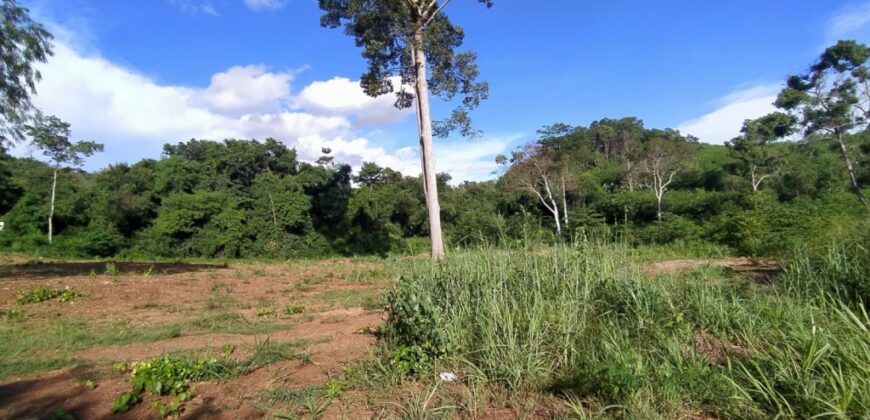 Land For sale Baan Amphur