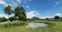 Land for sale Baan Amphur