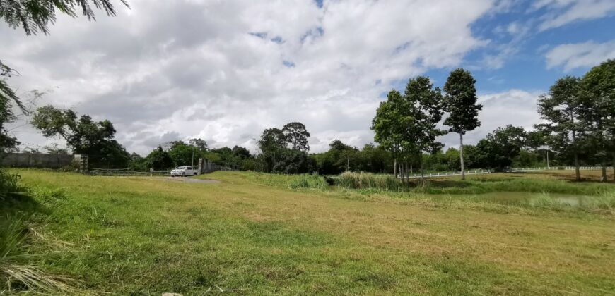 Land for sale Baan Amphur