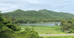 Land For Sale In Bang Saray