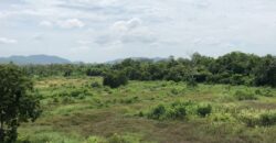 Land For Sale In Bang Saray