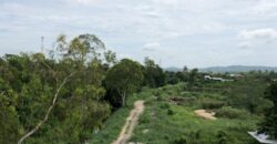 Land For Sale In Bang Saray