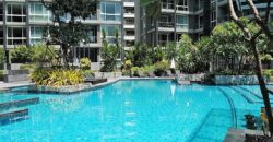 Pool view Condo for sale at Apus Condominium