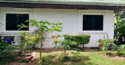 3 single-storey detached houses for sale