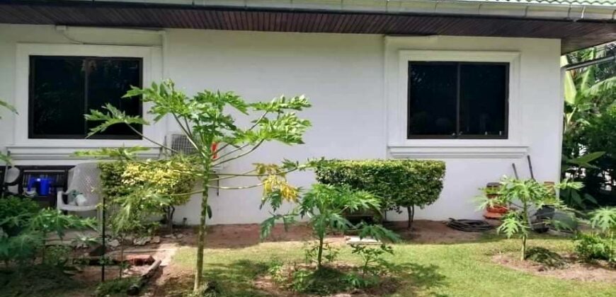 3 single-storey detached houses for sale