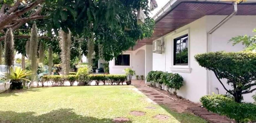 3 single-storey detached houses for sale