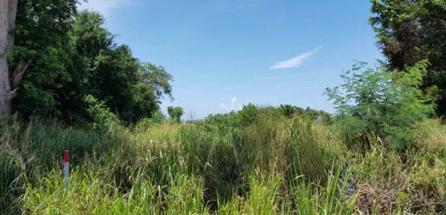 Land For Sale In East Pattaya