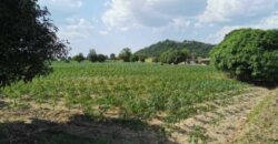 Land For Sale In Huay Yai