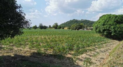 Land For Sale In Huay Yai