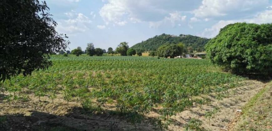 Land For Sale In Huay Yai