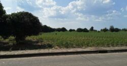 Land For Sale In Huay Yai