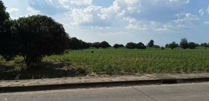 Land For Sale In Huay Yai