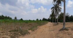 Land For Sale In Huay Yai