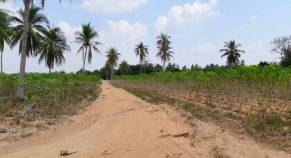 Land For Sale In Huay Yai