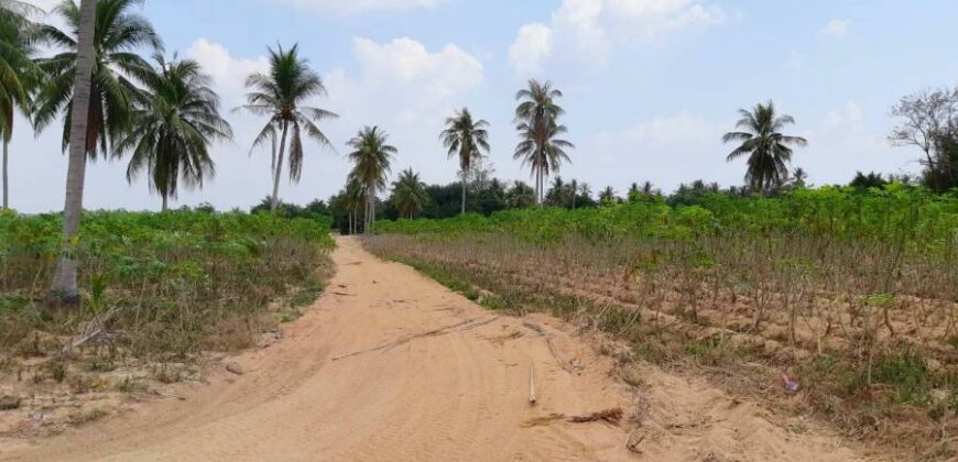 Land For Sale In Huay Yai