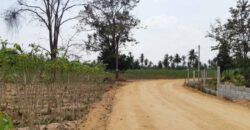 Land For Sale In Huay Yai