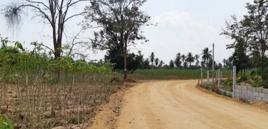 Land For Sale In Huay Yai