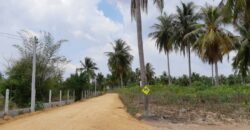 Land For Sale In Huay Yai