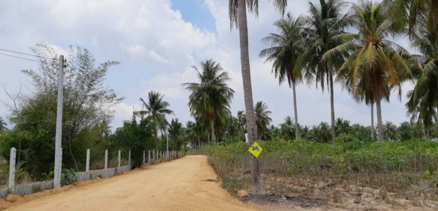 Land For Sale In Huay Yai