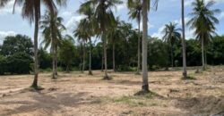 Land For Sale In Huay Yai