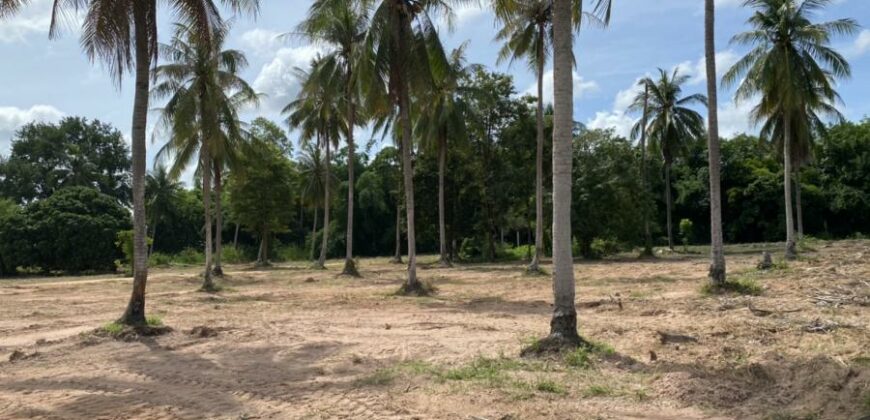 Land For Sale In Huay Yai