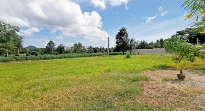 Prime Residential Land for Sale!