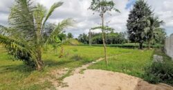 Prime Residential Land for Sale!