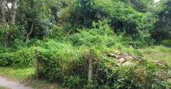 Land 1 and a half Rai for sale Huay Yai