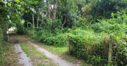 Land 1 and a half Rai for sale Huay Yai