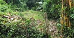 Land 1 and a half Rai for sale Huay Yai