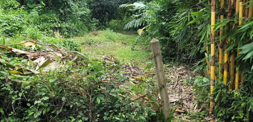 Land 1 and a half Rai for sale Huay Yai