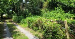 Land 1 and a half Rai for sale Huay Yai