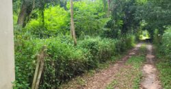 Land 1 and a half Rai for sale Huay Yai