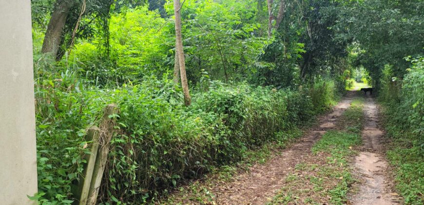 Land 1 and a half Rai for sale Huay Yai