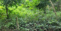 Land 1 and a half Rai for sale Huay Yai