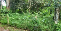 Land 1 and a half Rai for sale Huay Yai