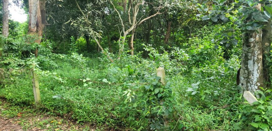 Land 1 and a half Rai for sale Huay Yai