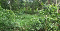 Land 1 and a half Rai for sale Huay Yai