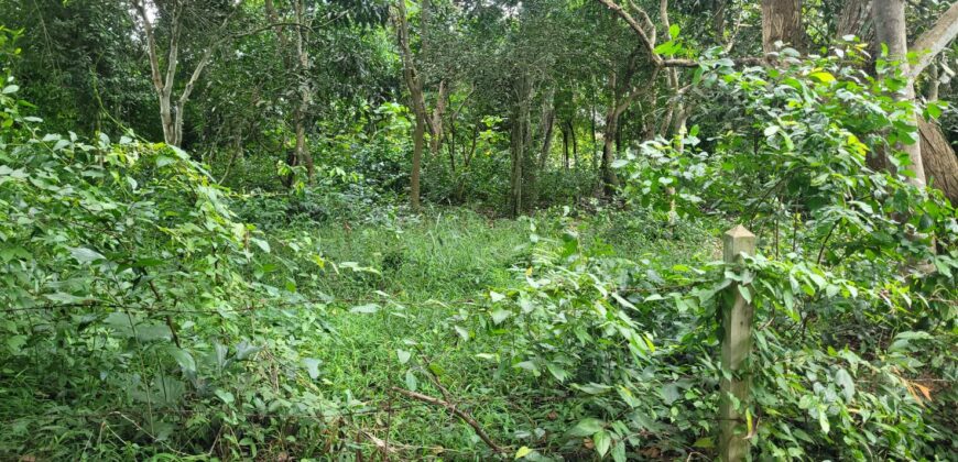 Land 1 and a half Rai for sale Huay Yai