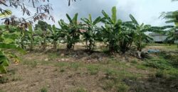 Land For sale Near Jomtien