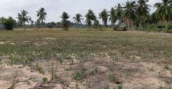 Large Land For Sale In Mabprachan Lake, East Pattaya